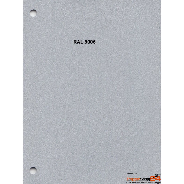Silbergrau (RAL 9006)