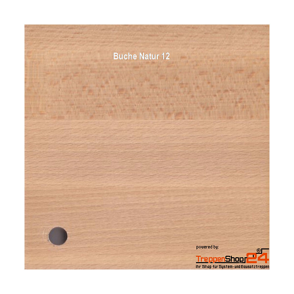Buche Natur 12