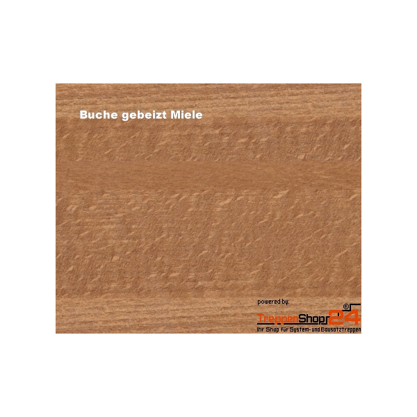 Buche gebeizt Miele