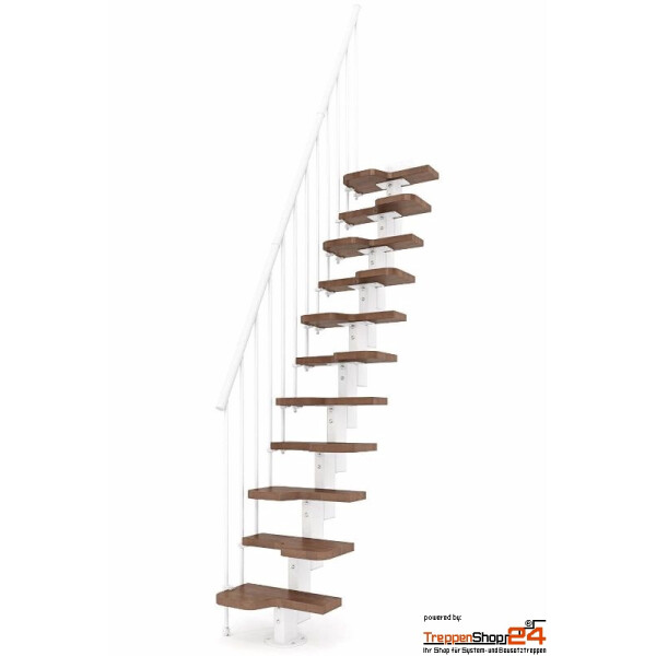Buche gebeizt Nussbaum 252