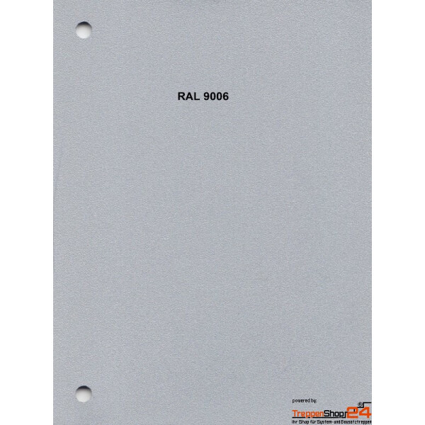 Silbergrau (RAL 9006)