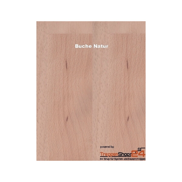 Buche Natur
